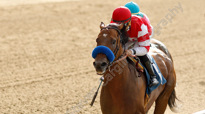 Rowayton-0003 
 ROWAYTON (Joel Rosario) wins Allowance
Belmont Park USA, 6 Jun 2019 - Pic Steven Cargill / Racingfotos.com