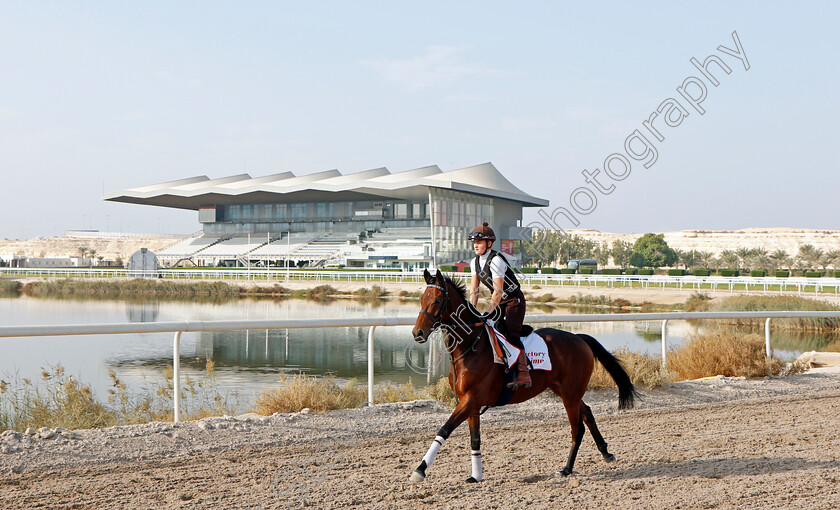 Victory-Chime-0001 
 VICTORY CHIME exercising in preparation for Friday's Bahrain International Trophy
Sakhir Racecourse, Bahrain 16 Nov 2021 - Pic Steven Cargill / Racingfotos.com