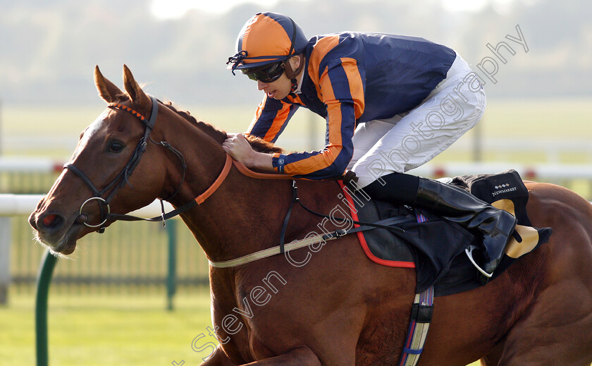 Garrel-Glen-0008 
 GARREL GLEN (Louis Steward) wins The Shepherd Compello & EPG Fillies Novice Median Auction Stakes Div2
Newmarket 24 Oct 2018 - Pic Steven Cargill / Racingfotos.com