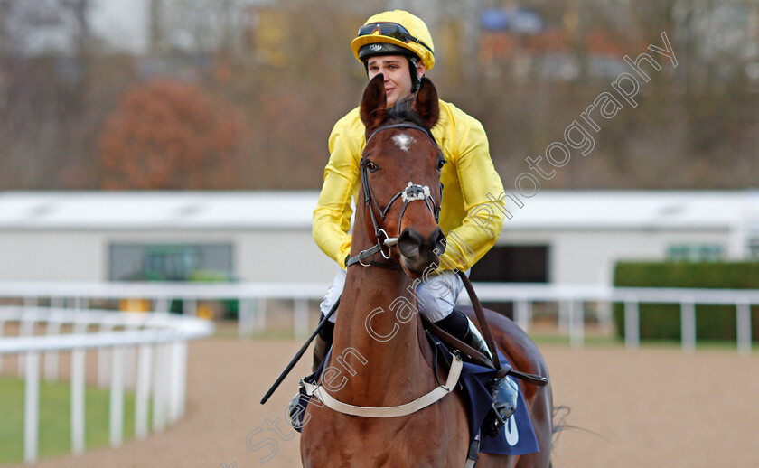 Summer-Icon-0001 
 SUMMER ICON (Charles Bishop) winner of The 32Red.com Fillies Conditions Stakes Wolverhampton 4 Jan 2017 - Pic Steven Cargill / Racingfotos.com