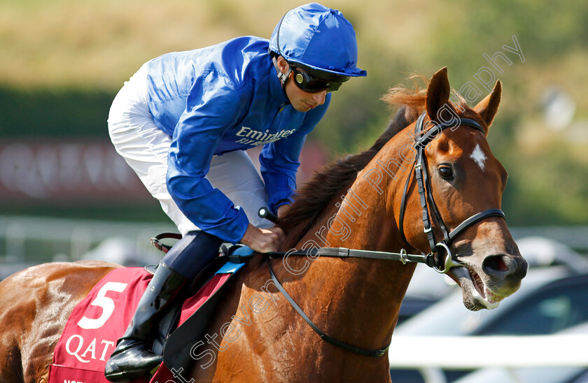 Notable-Speech-0012 
 NOTABLE SPEECH (William Buick) winner of The Qatar Sussex Stakes
Goodwood 31 Jul 2024 - Pic Steven Cargill / Racingfotos.com