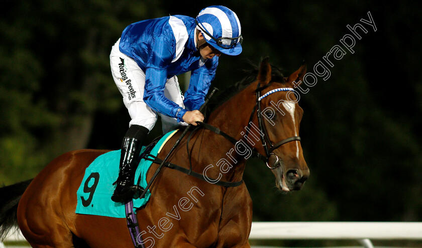 Enbihaar-0001 
 ENBIHAAR (Jim Crowley) before The 32Red.com Novice Stakes
Kempton 18 Sep 2018 - Pic Steven Cargill / Racingfotos.com