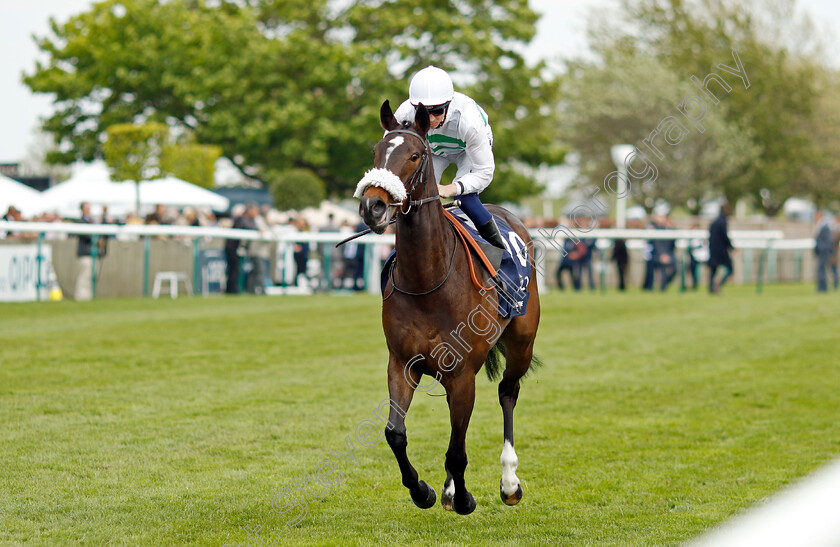 Sandrine 
 SANDRINE (David Probert) 
Newmarket 1 May 2022 - Pic Steven Cargill / Racingfotos.com