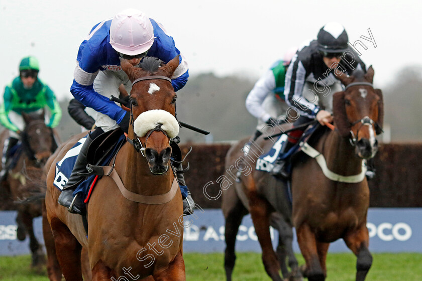 Solo-0005 
 SOLO (Harry Cobden)
Ascot 21 Dec 2024 - Pic Steven Cargill / Racingfotos.com