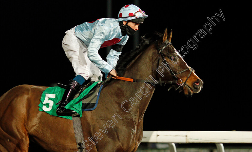 Charlie-Arthur-0002 
 CHARLIE ARTHUR (George Rooke)
Kempton 3 Feb 2021 - Pic Steven Cargill / Racingfotos.com