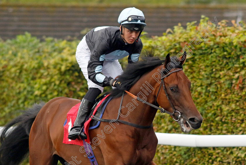 Barry s-Boy-0001 
 BARRY'S BOY (George Bass)
Kempton 6 Sep 2024 - Pic Steven Cargill / Racingfotos.com