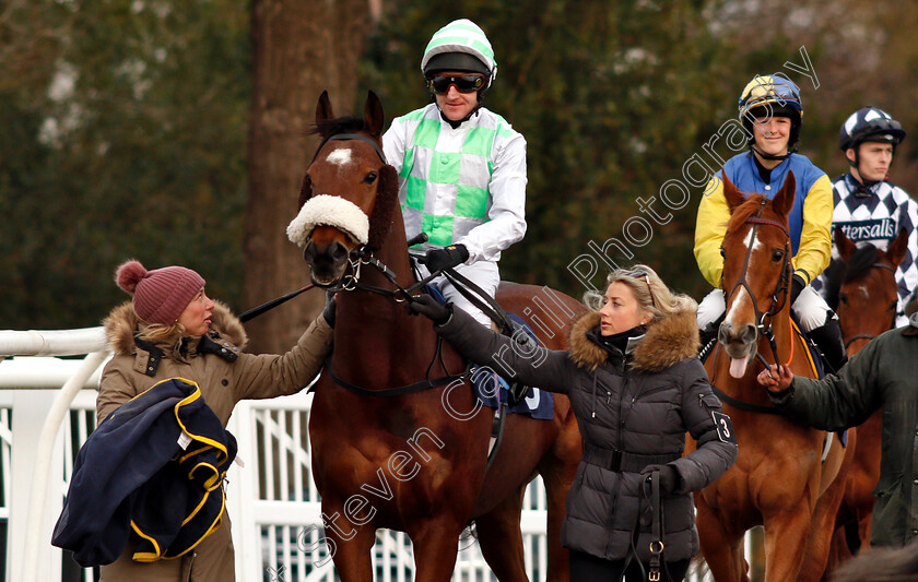 Waneen-0001 
 WANEEN (Liam Keniry)
Lingfield 18 Jan 2019 - Pic Steven Cargill / Racingfotos.com