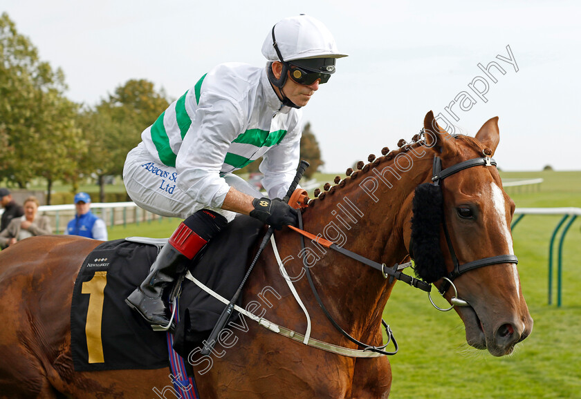 Madame-Ambassador-0005 
 MADAME AMBASSADOR (Franny Norton) winner of The British EBF Premier Fillies Handicap
Newmarket 7 Oct 2023 - Pic Steven Cargill / Racingfotos.com