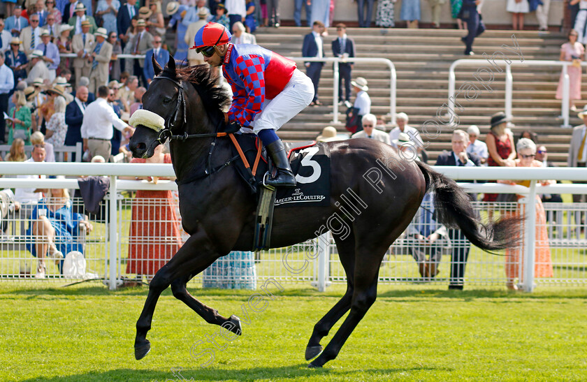 Big-Mojo-0012 
 BIG MOJO (Silvestre de Sousa) winner of The Jaeger Lecoultre Molecomb Stakes
Goodwood 31 Jul 2024 - Pic Steven Cargill / Racingfotos.com