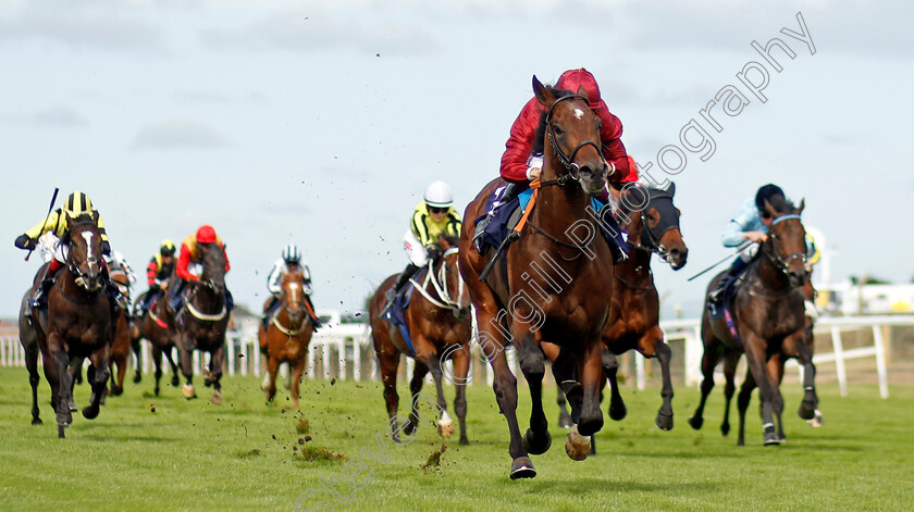 Zoology-0005 
 ZOOLOGY (Cieren Fallon) wins The British Stallion Studs EBF Novice Stakes
Yarmouth 13 Sep 2022 - Pic Steven Cargill / Racingfotos.com