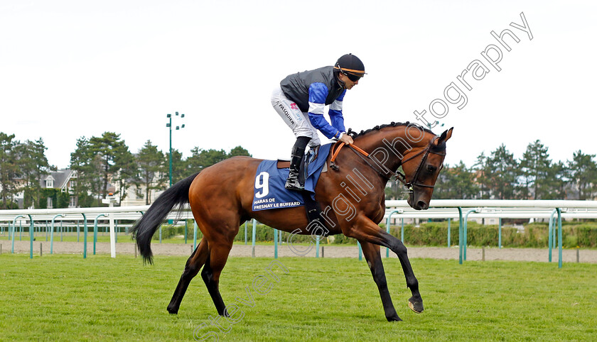 Good-Guess-0001 
 GOOD GUESS (Stephane Pasquier)
Deauville 13 Aug 2023 - Pic Steven Cargill / Racingfotos.com