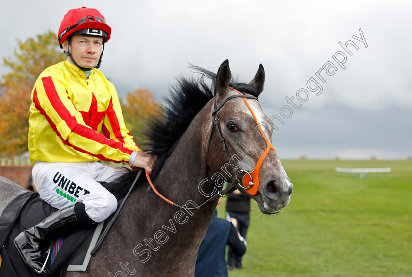 Mount-Kosciuszko 
 MOUNT KOSCIUSZKO (Jamie Spencer)
Newmarket 29 Oct 2021 - Pic Steven Cargill / Racingfotos.com