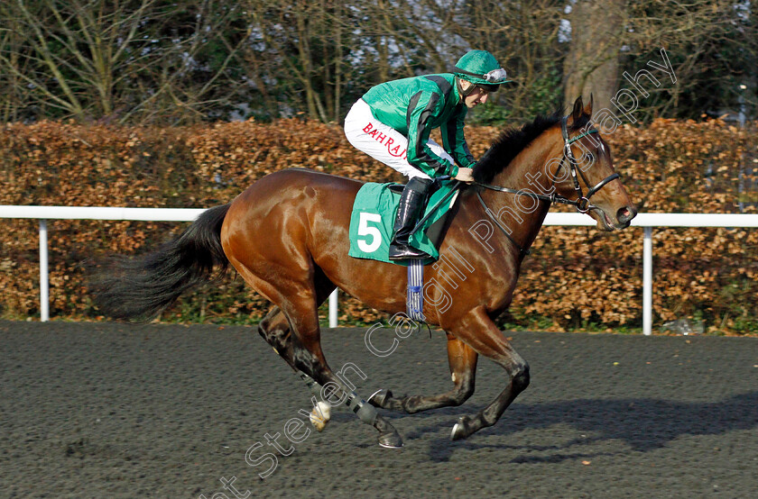 Hello-Sydney 
 HELLO SYDNEY (Tom Marquand)
Kempton 16 Feb 2022 - Pic Steven Cargill / Racingfotos.com