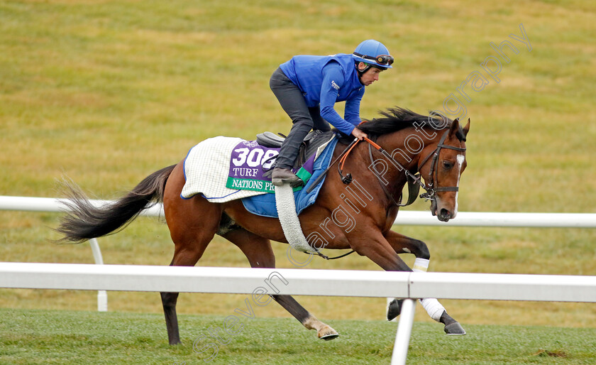 Nations-Pride-0003 
 NATIONS PRIDE training for the Breeders' Cup Turf 
Keeneland USA 2 Nov 2022 - Pic Steven Cargill / Racingfotos.com