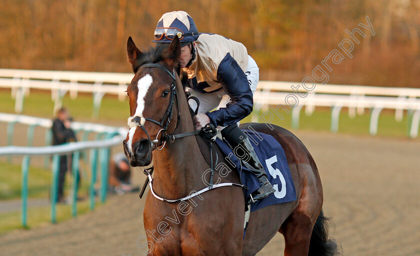 Dream-Point-0001 
 DREAM POINT (Martin Dwyer) Lingfield 10 Jan 2018 - Pic Steven Cargill / Racingfotos.com