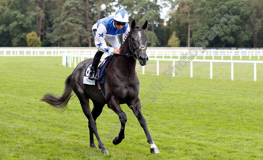 Fox-Leicester-0001 
 FOX LEICESTER (Jason Watson)
Ascot 8 Sep 2018 - Pic Steven Cargill / Racingfotos.com