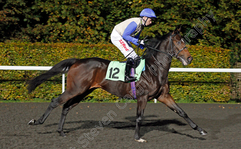 Recollect-0001 
 RECOLLECT (Jamie Spencer) Kempton 18 Oct 2017 - Pic Steven Cargill / Racingfotos.com