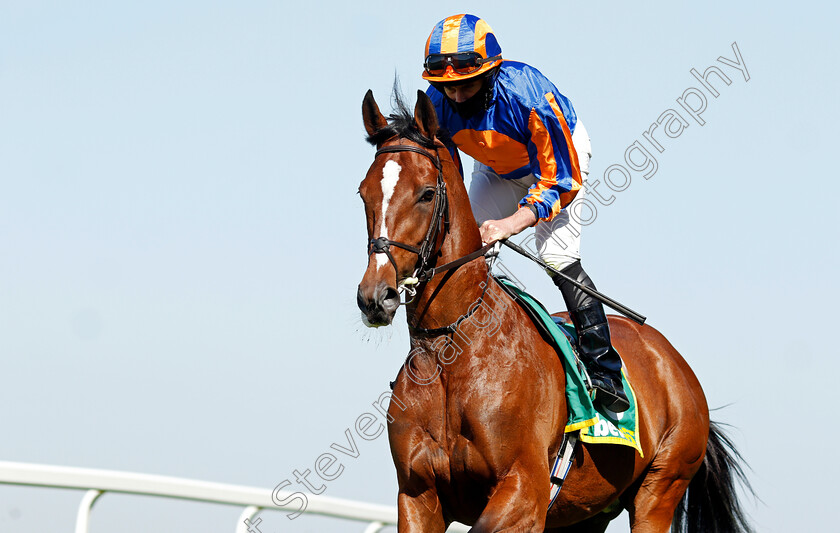 Sir-Lucan-0002 
 SIR LUCAN (Ryan Moore)
Sandown 23 Apr 2021 - Pic Steven Cargill / Racingfotos.com