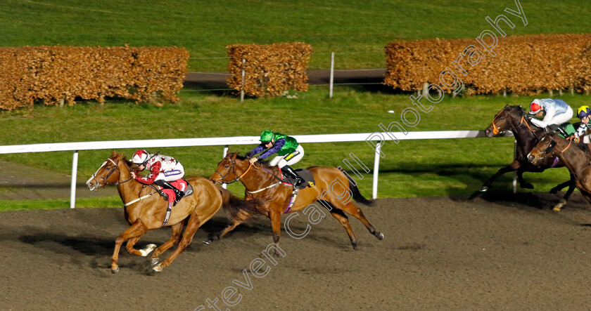 Tennessee-Gold-0003 
 TENNESSEE GOLD (Daniel Muscutt) wins The Unibet Handicap
Kempton 11 Dec 2024 - Pic Steven Cargill / Racingfotos.com