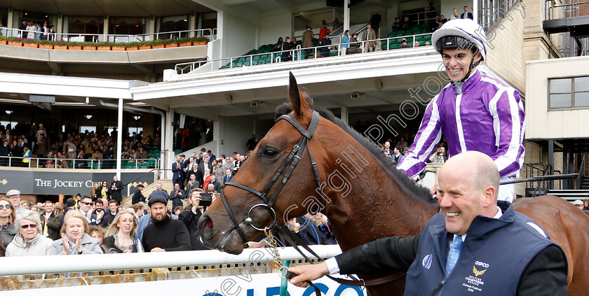 Magna-Grecia-0011 
 MAGNA GRECIA (Donnacha O'Brien) after The Qipco 2000 Guineas
Newmarket 4 May 2019 - Pic Steven Cargill / Racingfotos.com