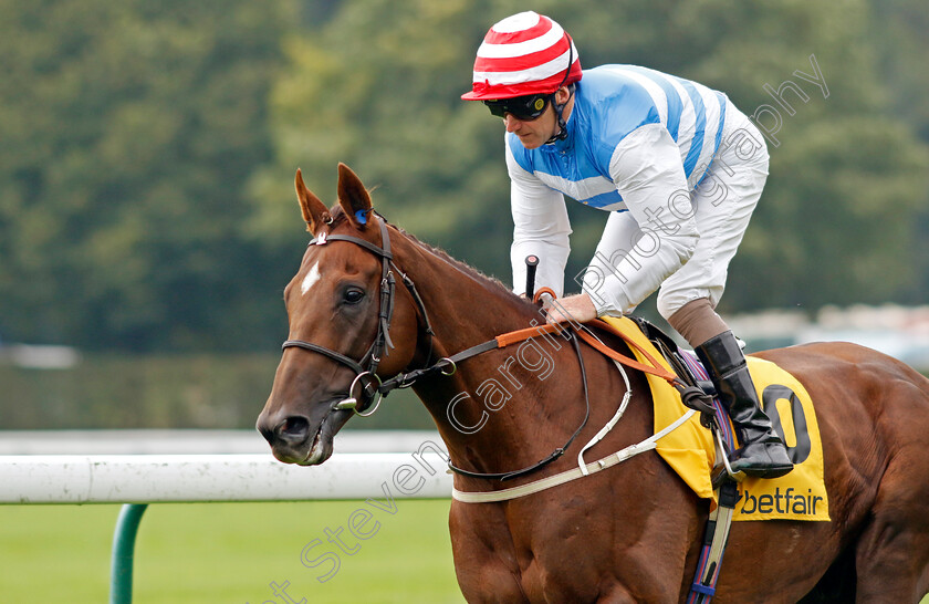 Knightswood-0002 
 KNIGHTSWOOD (Joe Fanning)
Haydock 7 Sep 2024 - Pic Steven Cargill / Racingfotos.com