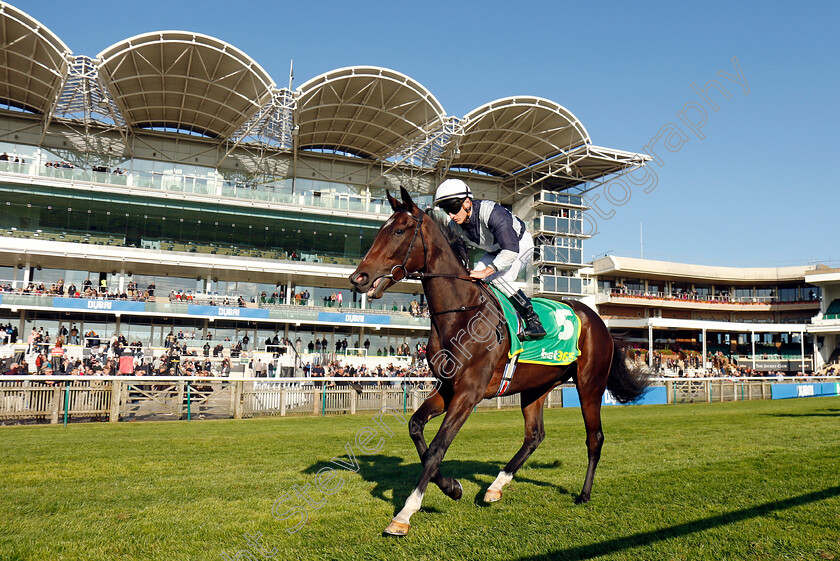 Dreamy-0002 
 DREAMY (Tom Marquand)
Newmarket 11 Oct 2024 - Pic Steven Cargill / Racingfotos.com