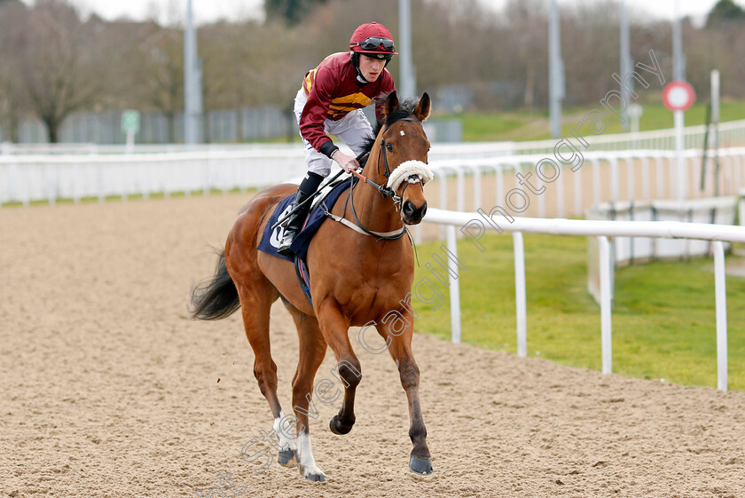 Murbih-0001 
 MURBIH (Cam Hardie)
Wolverhampton 12 Mar 2022 - Pic Steven Cargill / Racingfotos.com