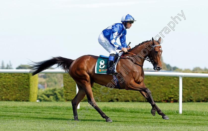 Question-Of-Class-0001 
 QUESTION OF CLASS (Rory Cleary)
Leopardstown 9 Sep 2023 - Pic Steven Cargill / Racingfotos.com