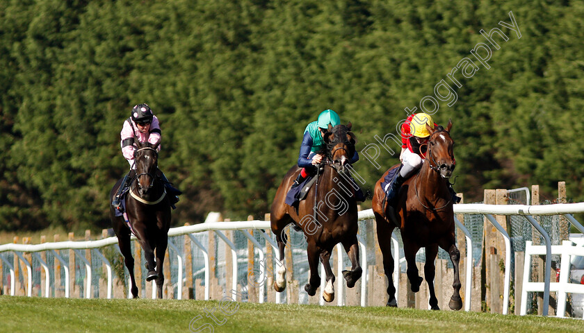 Jack-Taylor-0001 
 JACK TAYLOR (centre, Shane Kelly) beats JEOPARDY JOHN (right) in The mintbet.com The Home Of Refreshing Odds Handicap
Brighton 3 Jul 2018 - Pic Steven Cargill / Racingfotos.com