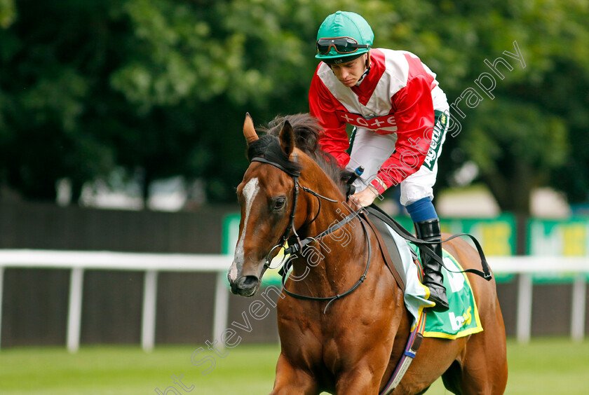 Charming-Whisper-0002 
 CHARMING WHISPER (George Rooke)
Newmarket 13 Jul 2024 - Pic Steven Cargill / Racingfotos.com