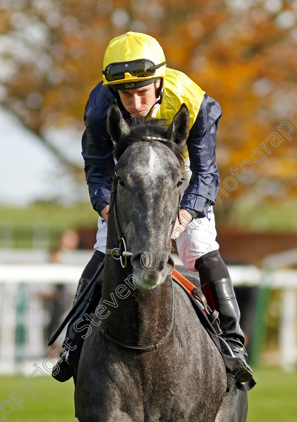 Bodorgan-0008 
 BODORGAN (Ryan Moore) winner of The British Stallion Studs EBF Novice Stakes Div2
Newmarket 28 Oct 2022 - Pic Steven Cargill / Racingfotos.com