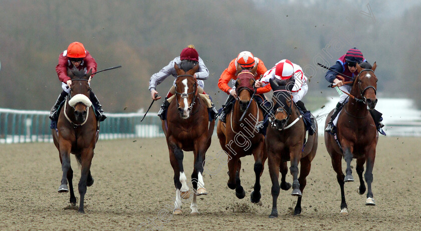 Mango-Tango-0004 
 MANGO TANGO (left, Edward Greatrex) beats TOAST OF NEW YORK (2nd left) GORING (centre) SCARLET DRAGON (2nd right) and NORTH FACE (right) in The Betway Casino Stakes
Lingfield 5 Dec 2018 - Pic Steven Cargill / Racingfotos.com