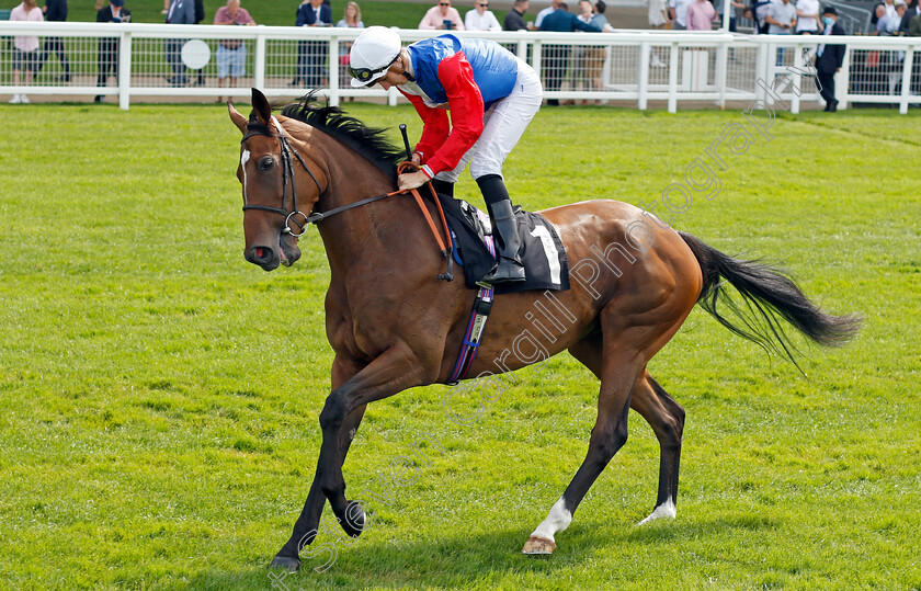 Declared-Interest-0001 
 DECLARED INTEREST (Hector Crouch)
Ascot 23 Jul 2021 - Pic Steven Cargill / Racingfotos.com