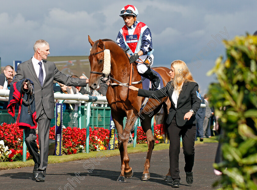 Desert-Skyline-0001 
 DESERT SKYLINE (Silvestre De Sousa) before winning The Doncaster Cup Doncaster 15 Sep 2017 - Pic Steven Cargill / Racingfotos.com