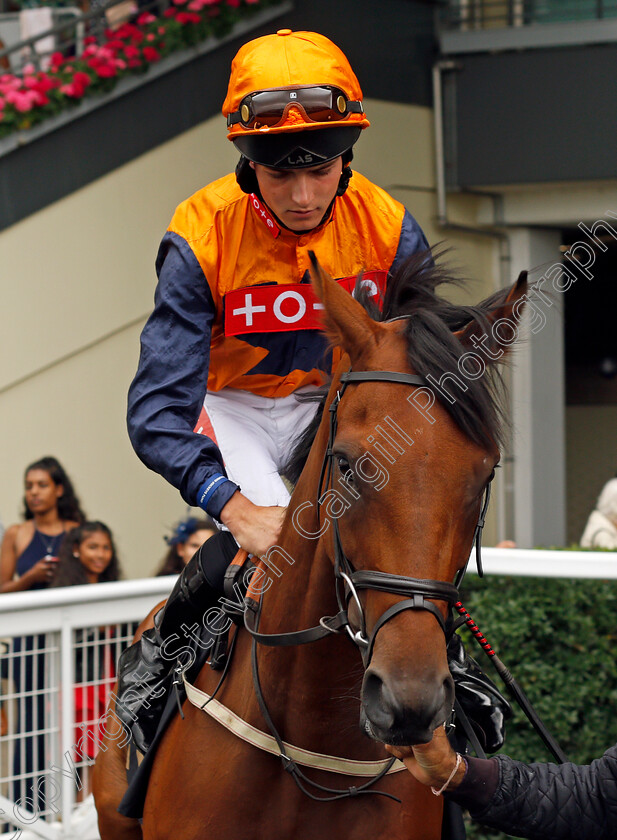 Marshall-Dan-0002 
 MARSHALL DAN (Tyler Heard)
Ascot 24 Jul 2021 - Pic Steven Cargill / Racingfotos.com