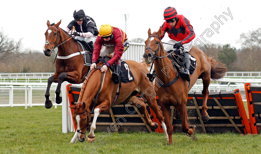 Midnight-River-0004 
 MIDNIGHT RIVER (right, Harry Skelton) beats ONE TRUE KING (centre) and GALLYHILL (left) in The greatbritishstallionshowcase.co.uk Novices Hurdle
Ascot 20 Feb 2021 - Pic Steven Cargill / Racingfotos.com