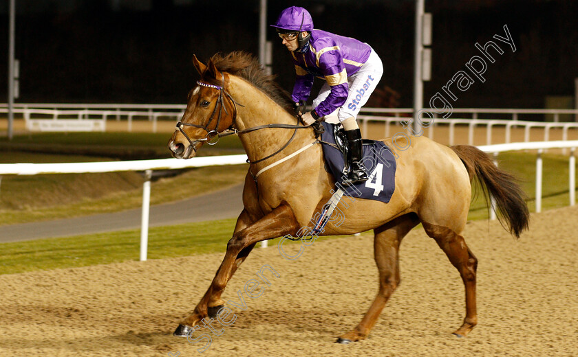 Key-Player-0001 
 KEY PLAYER (Joe Fanning)
Wolverhampton 26 Feb 2019 - Pic Steven Cargill / Racingfotos.com