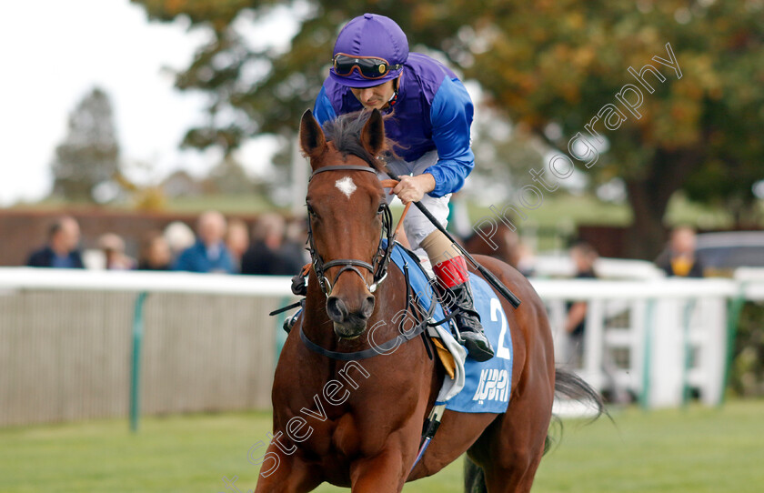 Crystallium-0001 
 CRYSTALLIUM (Andrea Atzeni)
Newmarket 7 Oct 2022 - Pic Steven Cargill / Racingfotos.com