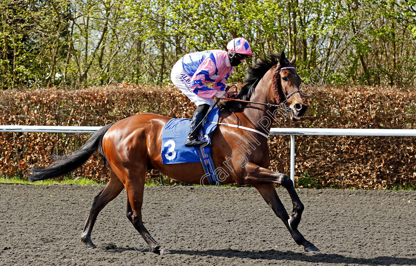 Han-Solo-Berger-0001 
 HAN SOLO BERGER (Jack Mitchell)
Kempton 5 Apr 2021 - Pic Steven Cargill / Racingfotos.com