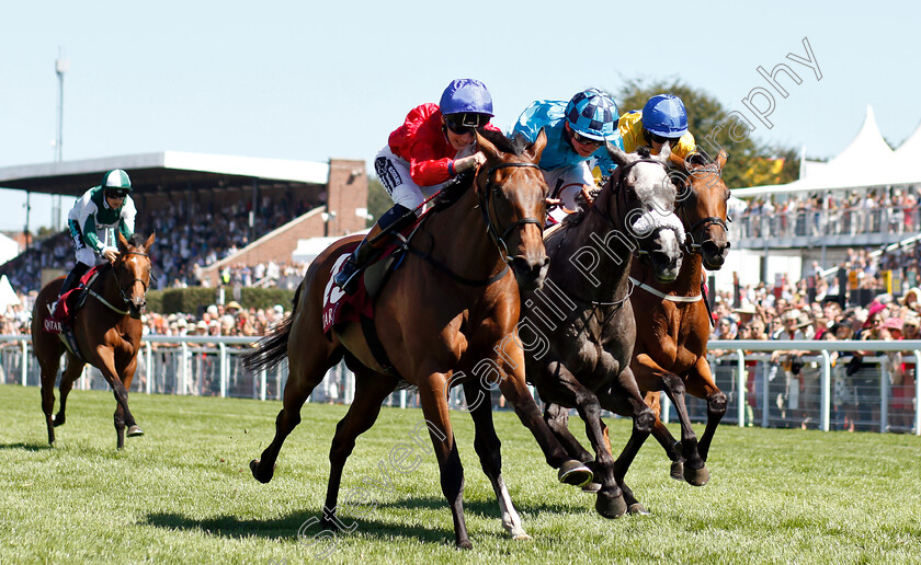 Pilaster-0002 
 PILASTER (left, David Egan) beats MAID UP (2nd right) and STAR ROCK (right) in The Qatar Lillie Langtry Stakes
Goodwood 2 Aug 2018 - Pic Steven Cargill / Racingfotos.com