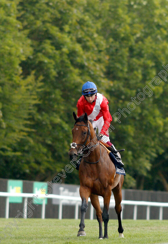 Veracious-0002 
 VERACIOUS (Oisin Murphy) before The Tattersalls Falmouth Stakes
Newmarket 12 Jul 2019 - Pic Steven Cargill / Racingfotos.com