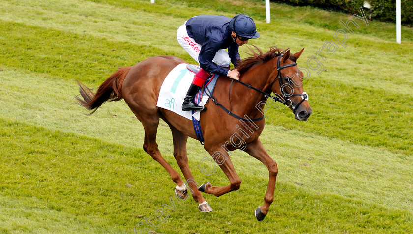 Award-Winning-0001 
 AWARD WINNING (Frankie Dettori) 
Chester 9 May 2018