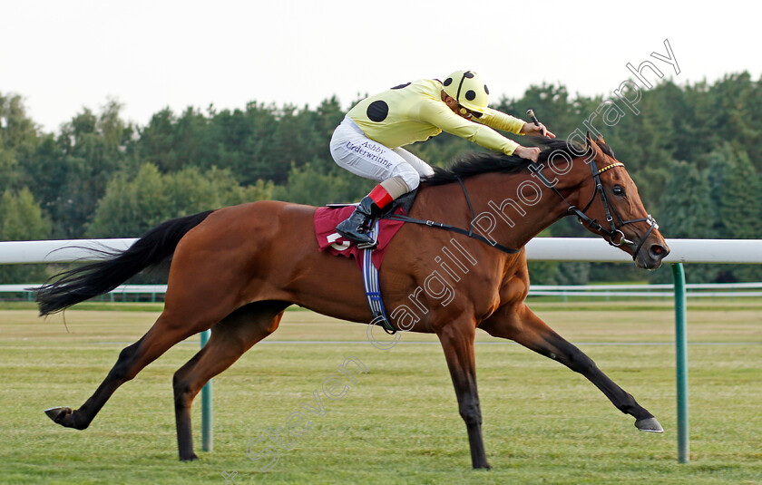 Night-Sparkle-0001 
 NIGHT SPARKLE (Andrea Atzeni) wins The Parbold Handicap
Haydock 2 Sep 2022 - Pic Steven Cargill / Racingfotos.com