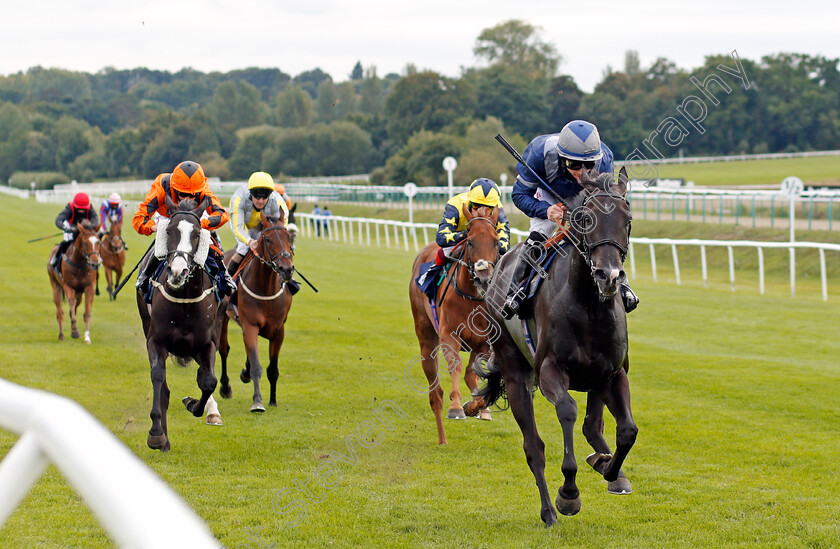 Stopnsearch-0004 
 STOPNSEARCH (William Carson) wins The Read Andrew Balding On Betway Insider Handicap Div1
Lingfield 7 Sep 2020 - Pic Steven Cargill / Racingfotos.com