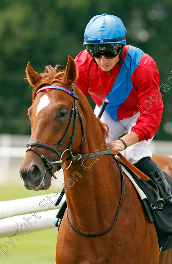 Alvediston-0001 
 ALVEDISTON (Tom Marquand)
Newbury 13 Aug 2021 - Pic Steven Cargill / Racingfotos.com