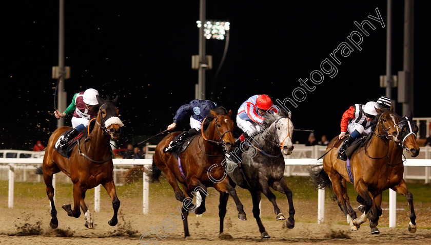 Rangali-Island-0002 
 RANGALI ISLAND (2nd left, Callum Shepherd) beats GLENN COCO (2nd right) MERCHANT OF VENICE (right) and SWISS CHEER (left) in The Bet totetrifecta At totesport.com Handicap
Chelmsford 11 Jan 2020 - Pic Steven Cargill / Racingfotos.com