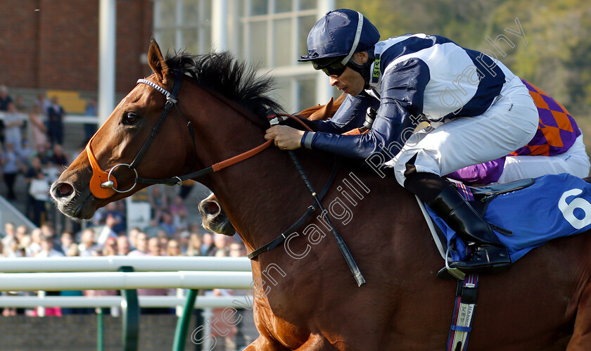 Temple-Of-Heaven-0008 
 TEMPLE OF HEAVEN (Sean Levey) wins The Soiza Family Novice Stakes
Nottingham 20 Apr 2019 - Pic Steven Cargill / Racingfotos.com