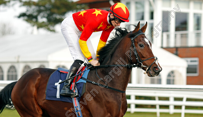 Middle-Kingdom-0003 
 MIDDLE KINGDOM (Robert Havlin) Lingfield 21 Nov 2017 - Pic Steven Cargill / Racingfotos.com