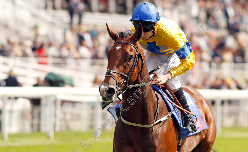 Sun-God-0001 
 SUN GOD (Luke Morris)
York 24 Aug 2024 - Pic Steven Cargill / Racingfotos.com