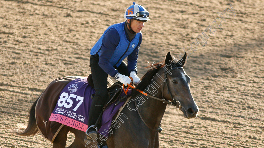 Lily s-Candle-0001 
 LILY'S CANDLE exercising ahead of the Breeders' Cup Juvenile Fillies Turf
Churchill Downs USA 29 Oct 2018 - Pic Steven Cargill / Racingfotos.com